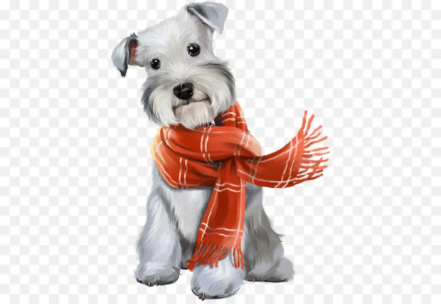 Perro，Bufanda PNG