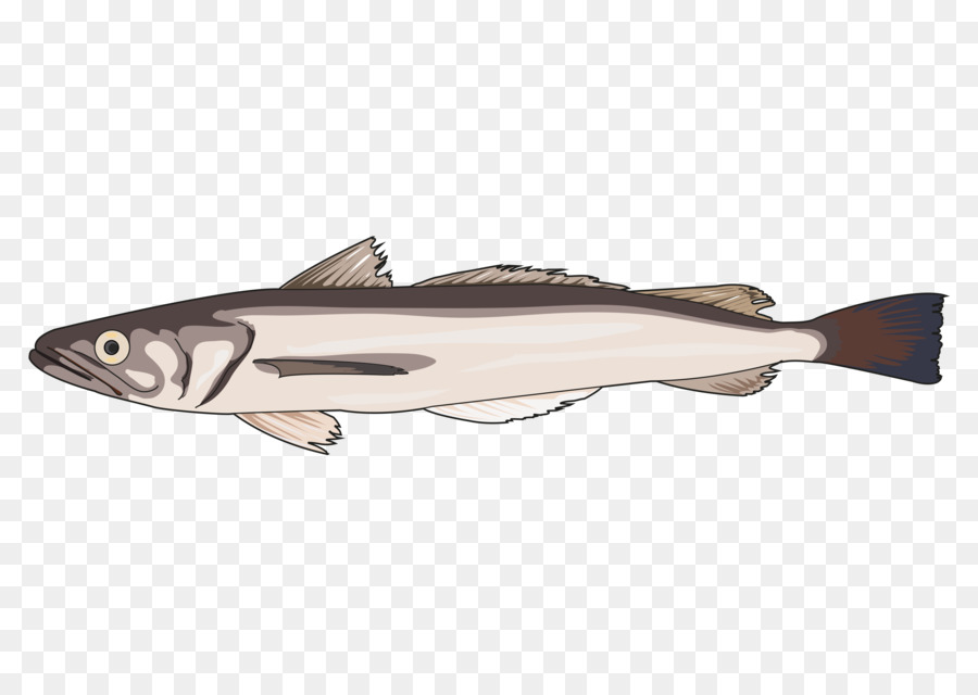 Bacalao，09777 PNG