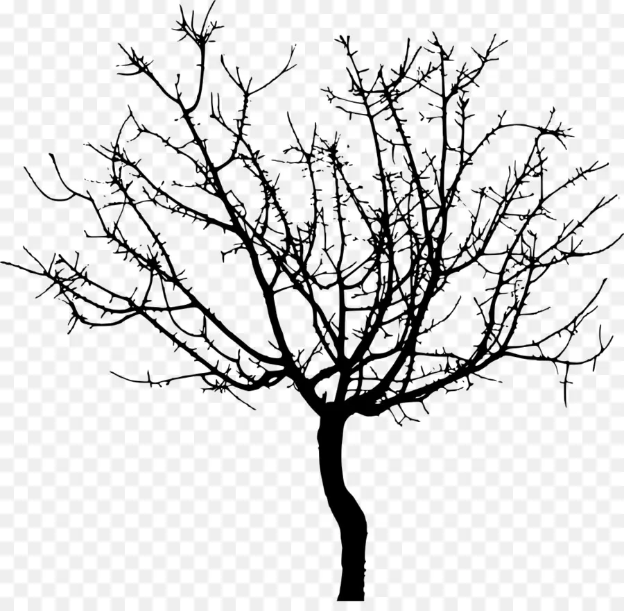 Ramita，Árbol PNG