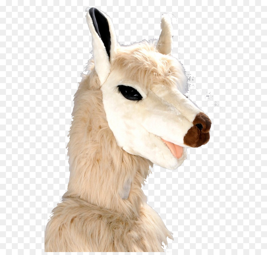 Disfraz De Llama，Animal PNG