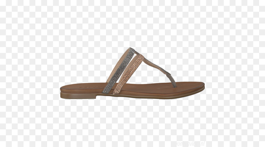 Chanclas，Zapatilla PNG