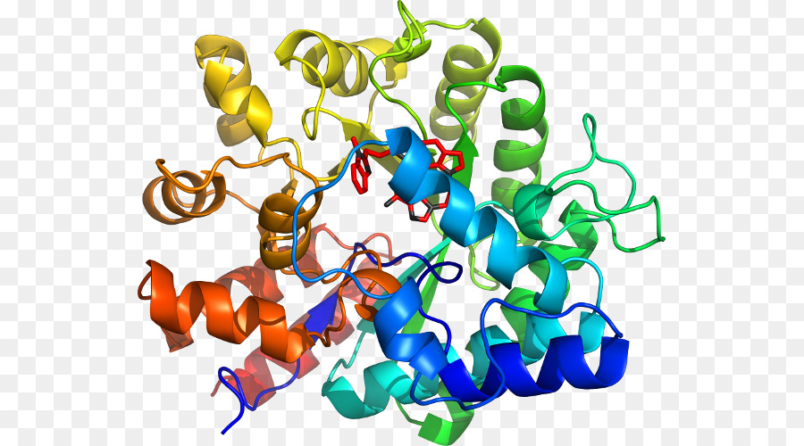 Arte，El Cuerpo De La Joyería PNG