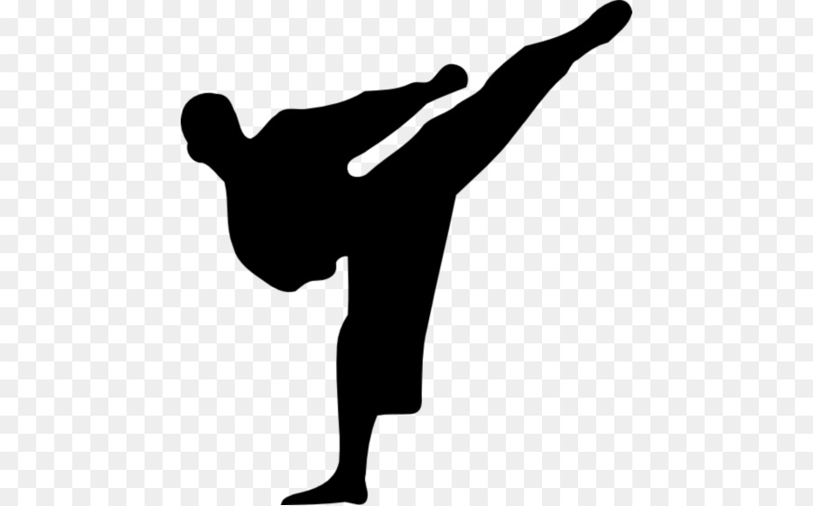 Patada De Kárate，Artes Marciales PNG