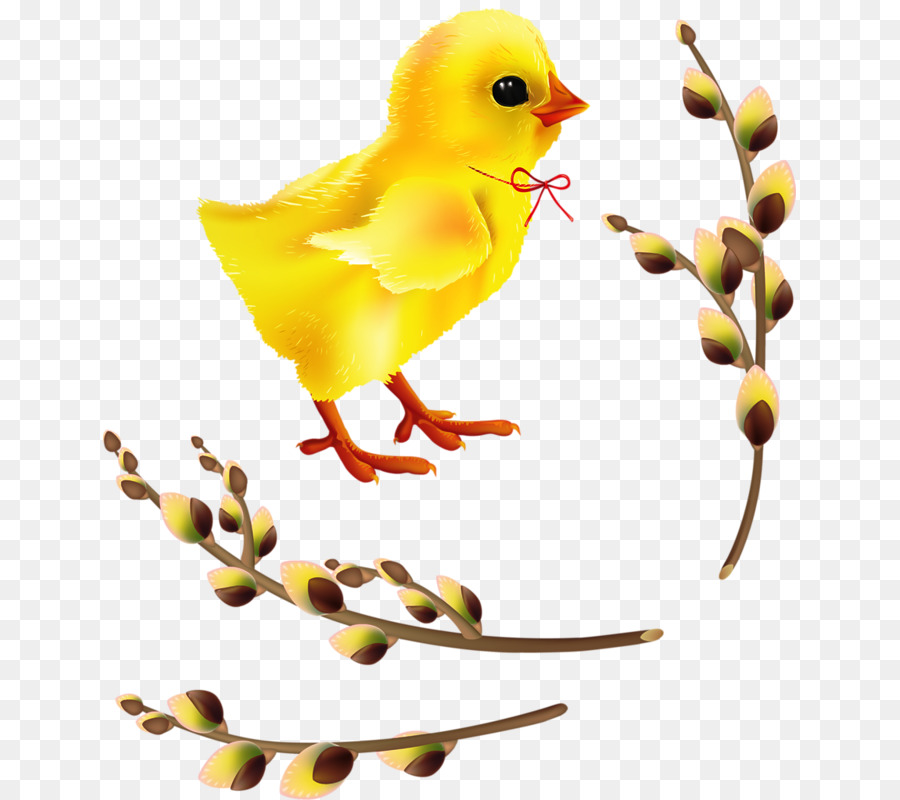 Pollo，Pascua De Resurrección PNG