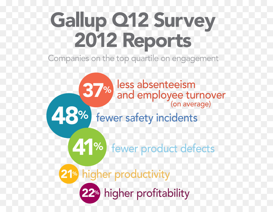 Encuesta Gallup Q12，Informe PNG