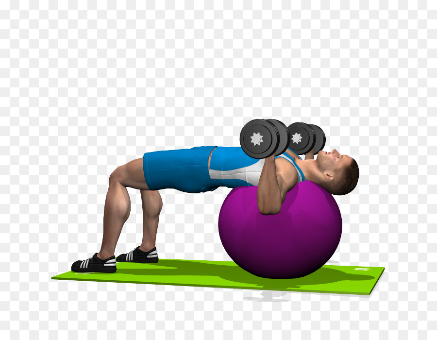 Pilates，Los Balones Medicinales PNG