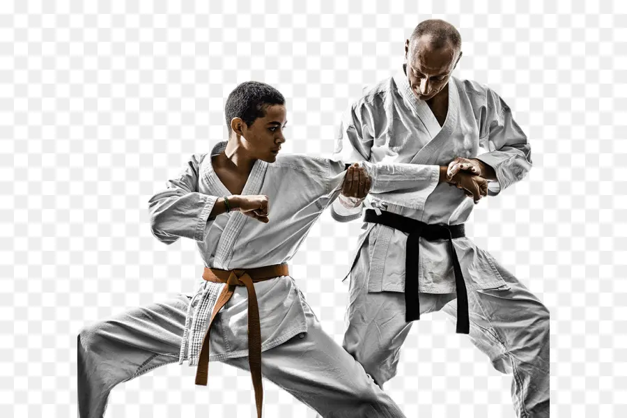 Tang Así Que，Taekwondo PNG