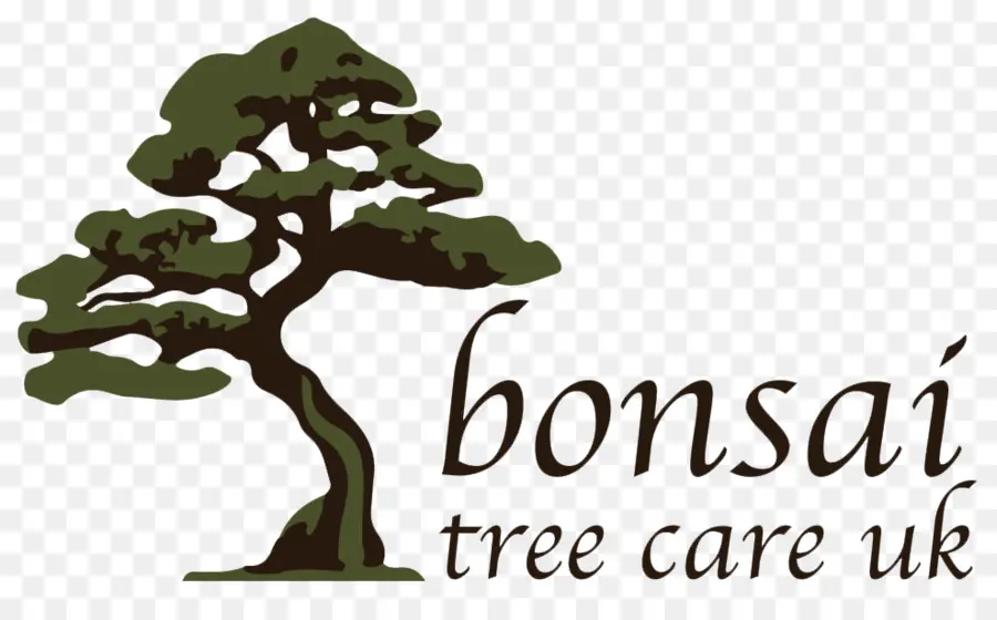 Árbol，Vivir El Arte Del Bonsai PNG