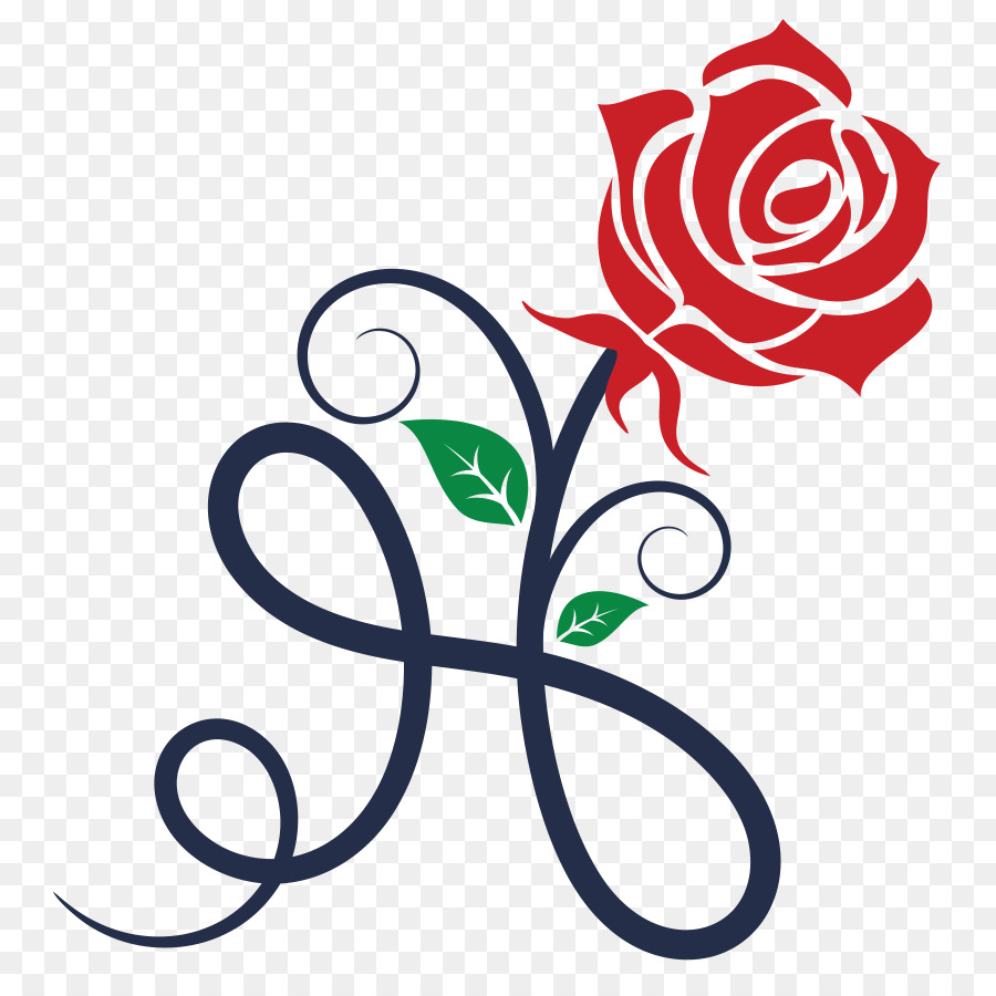 Rosa，Flor PNG