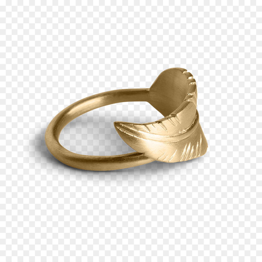 Anillo，Plata PNG