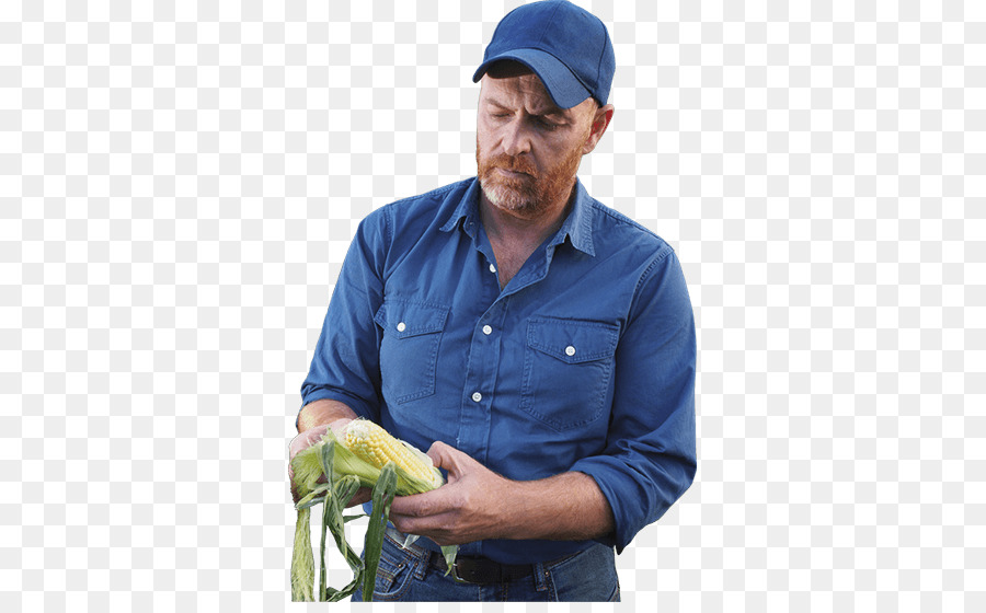 Navegador Web，Agricultor PNG