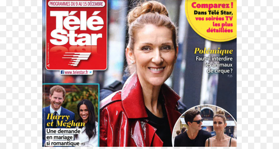 Celine Dion，La Estrella De Televisión PNG