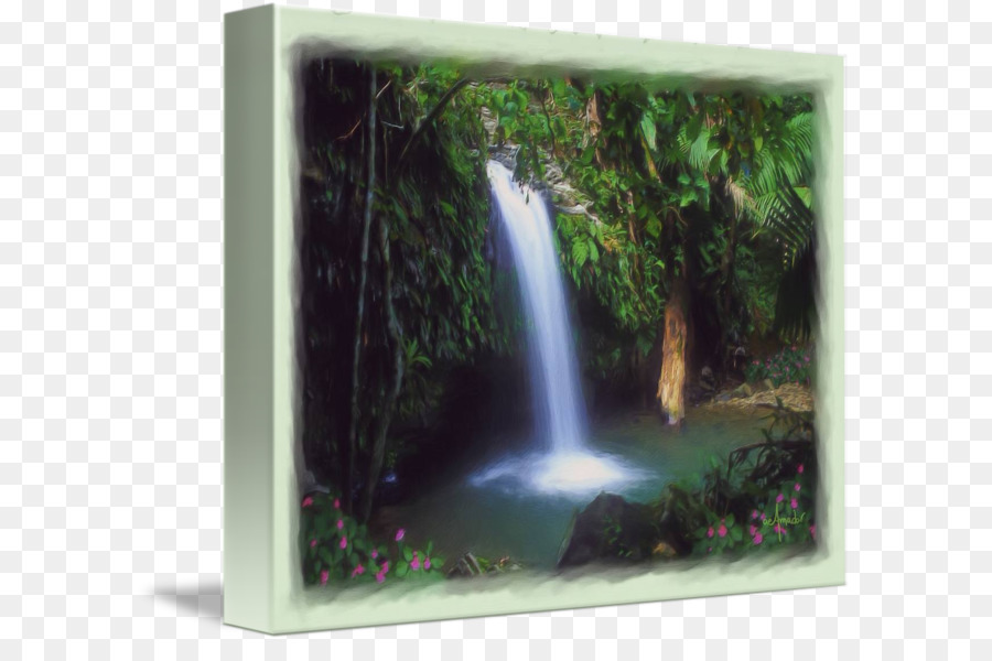 El Bosque Nacional El Yunque，Cascada PNG