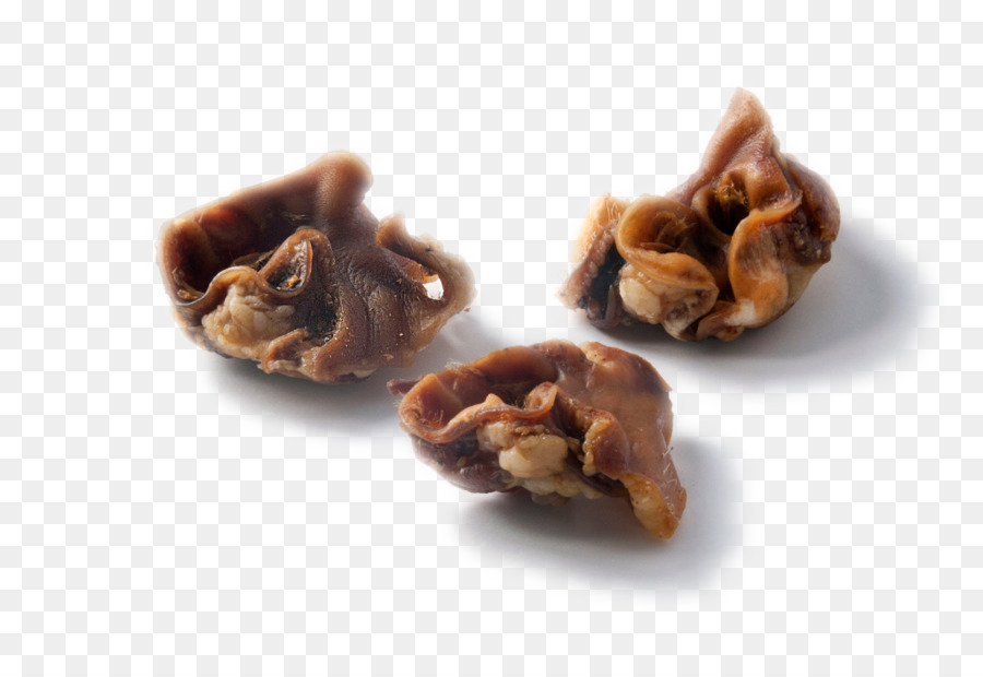 Nogal，Las Nueces De árbol PNG