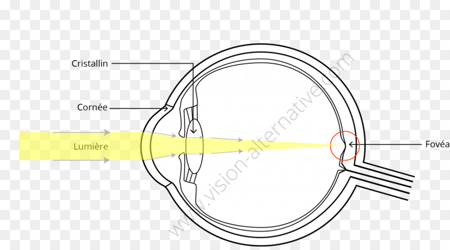 Línea，Tecnología PNG