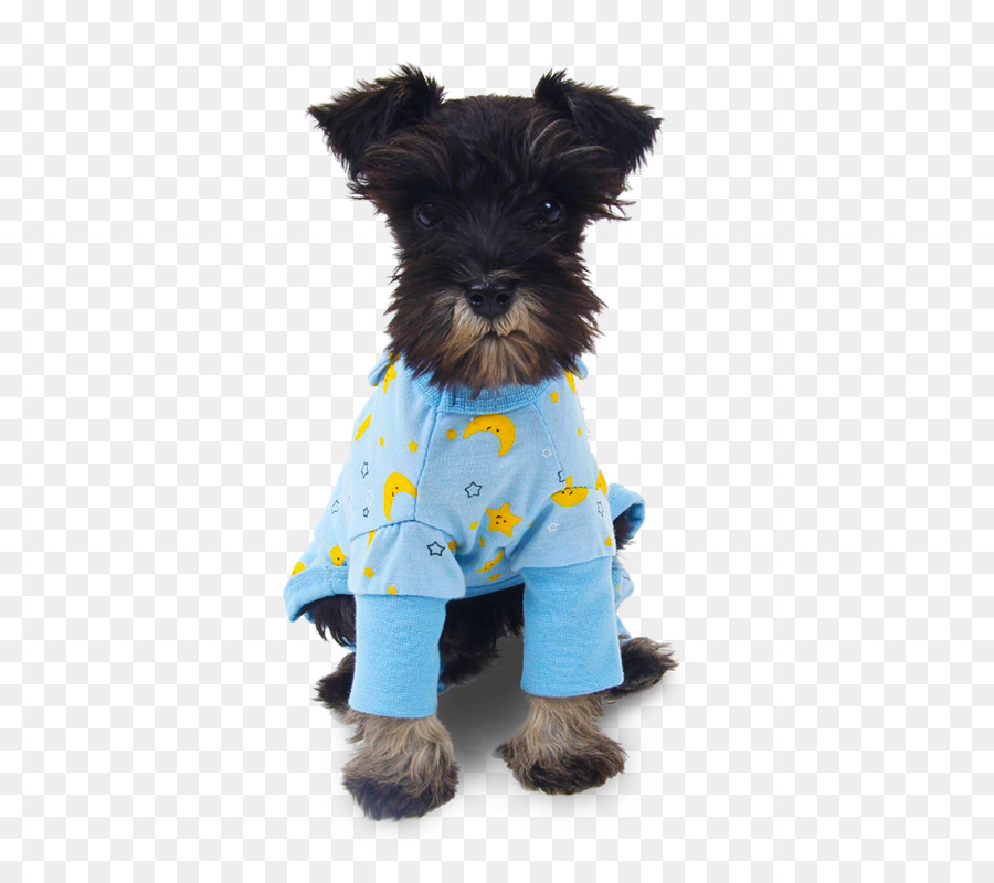 Schnauzer Miniatura，Cachorro PNG