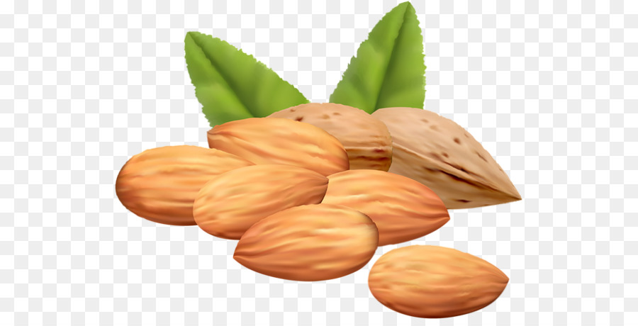 Almendras，Cojones PNG