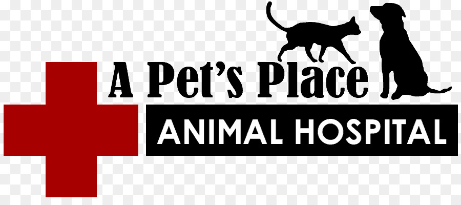 La Mascota Del Lugar Hospital De Animales，Primeau Joan R PNG
