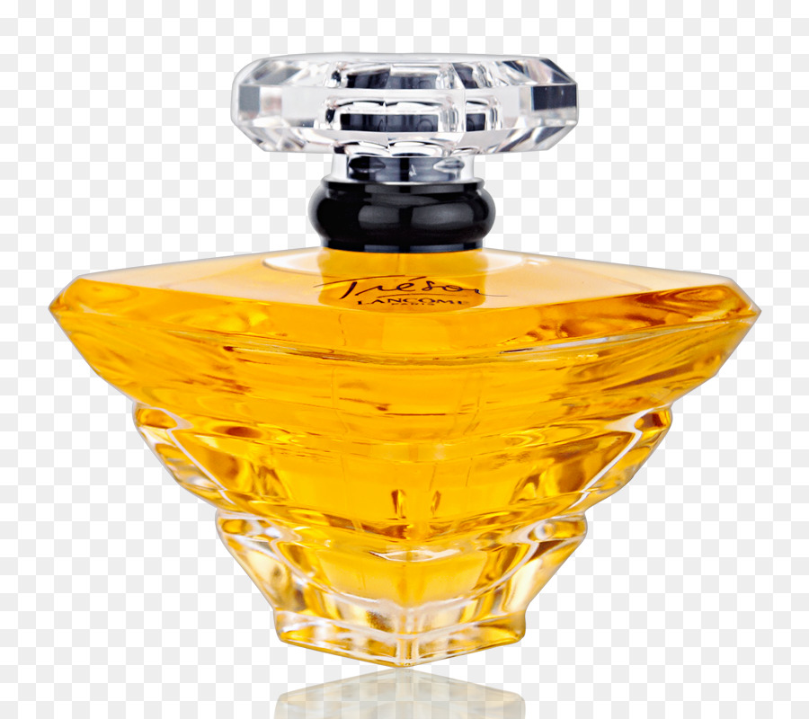 Perfume，Tesoro PNG