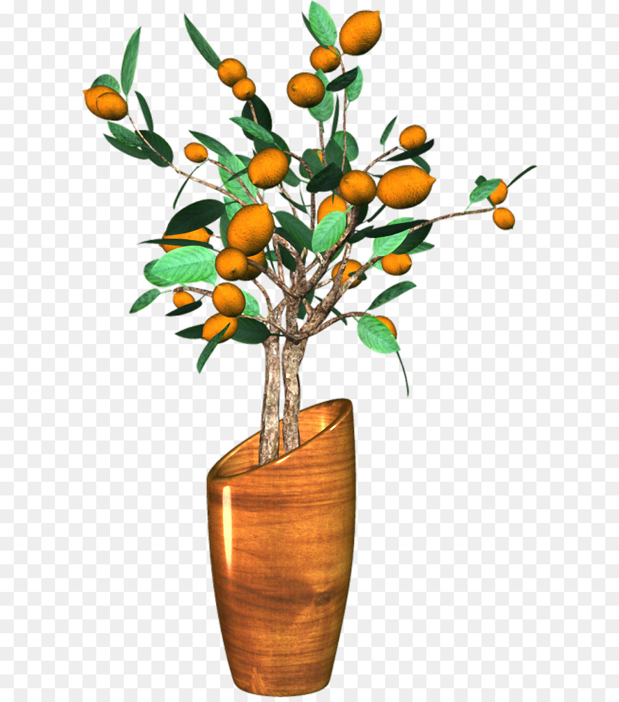 Maceta，Planta Ornamental PNG