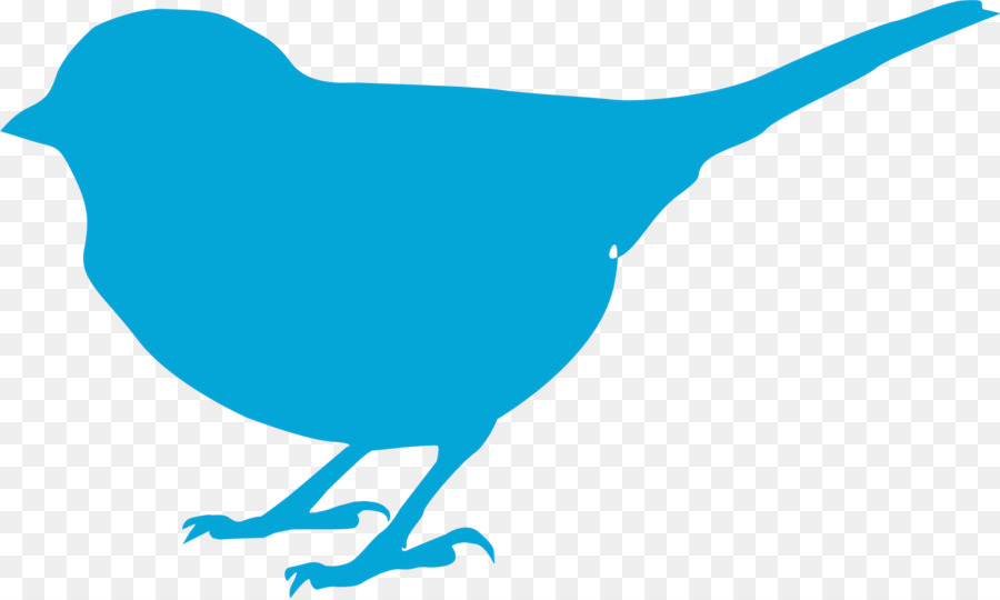 Pájaro Azul，Animal PNG