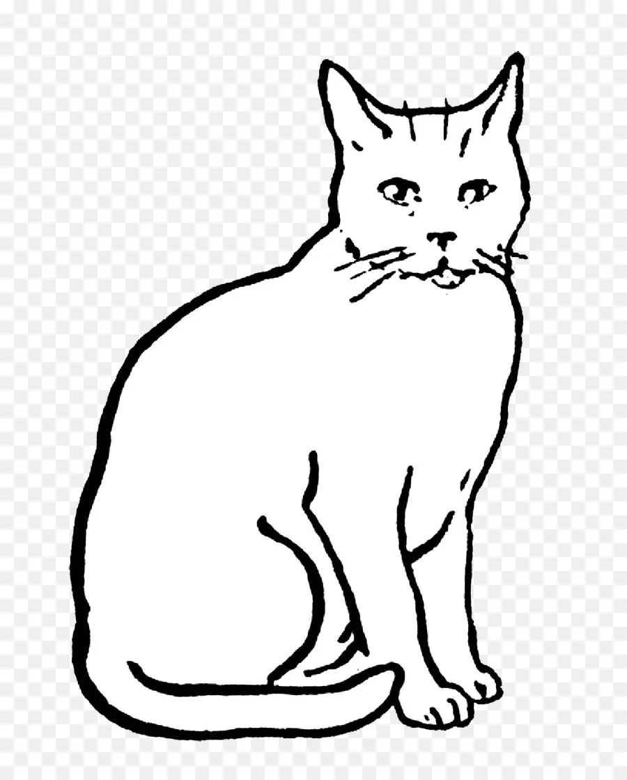 Bosquejo Del Gato，Mascota PNG