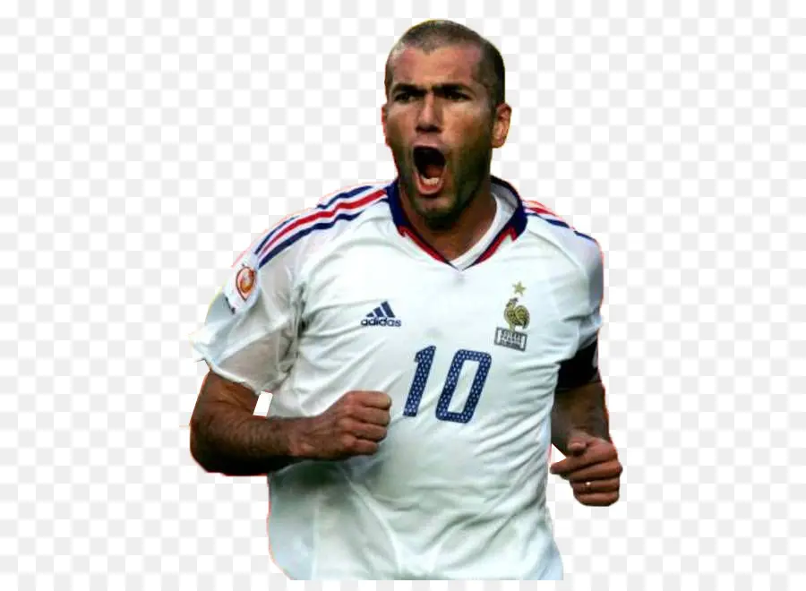 Zinedine Zidane，2006 Copa Mundial De La Fifa PNG