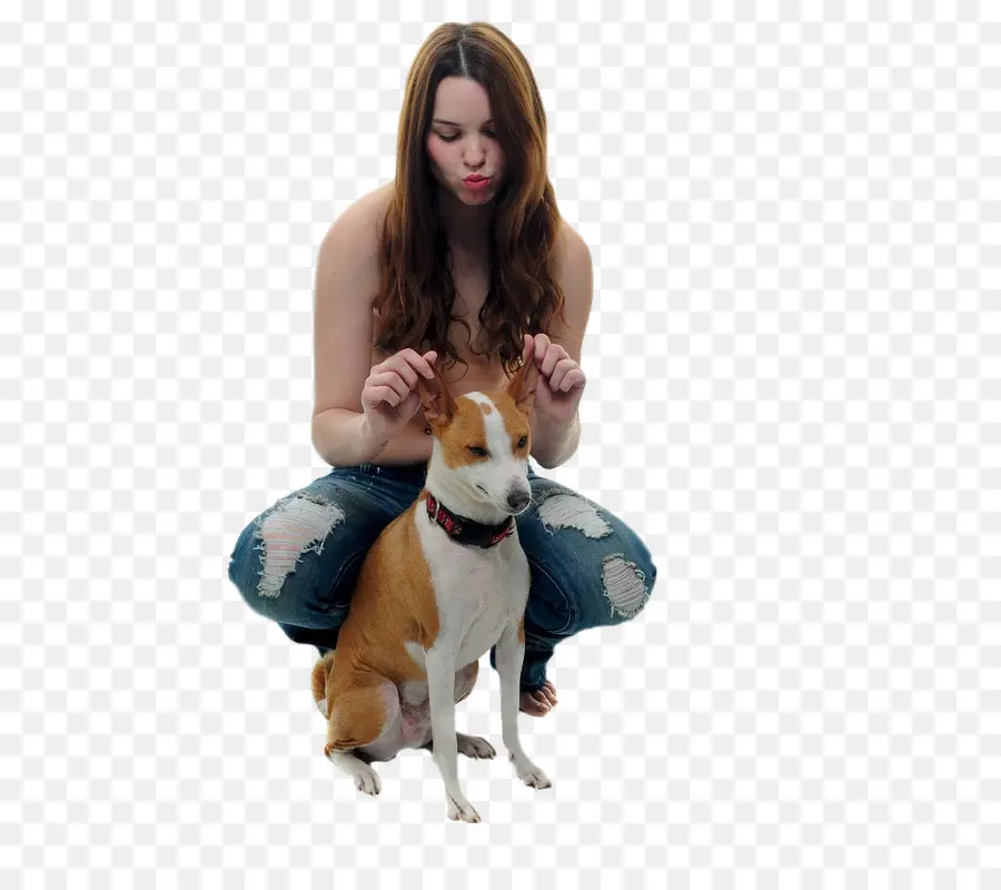 Mujer Con Perro，Perro PNG