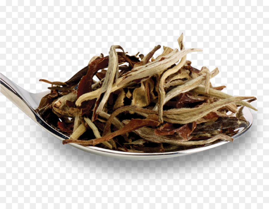 Mono De Oro De Té，Té Blanco PNG