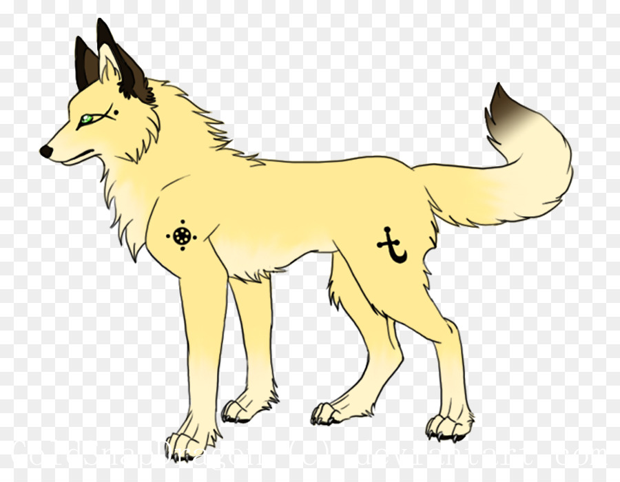 Raza De Perro，Perro PNG