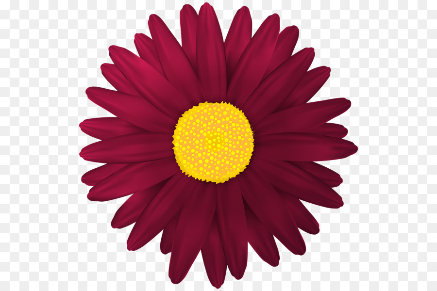 Flor Rosa，Florecer PNG