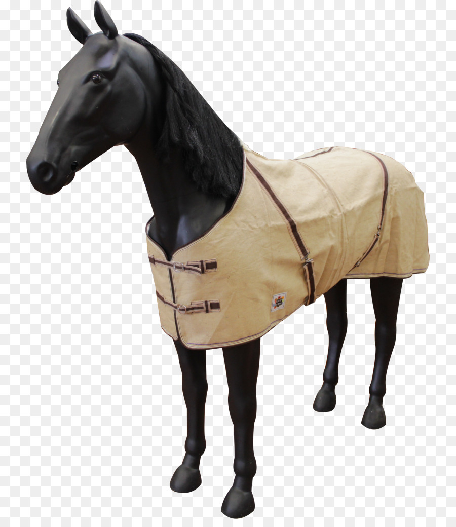 Maniquí De Caballo，Caballo PNG