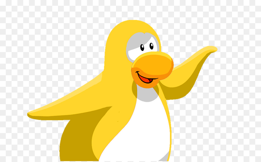 Pingüino，Pato PNG