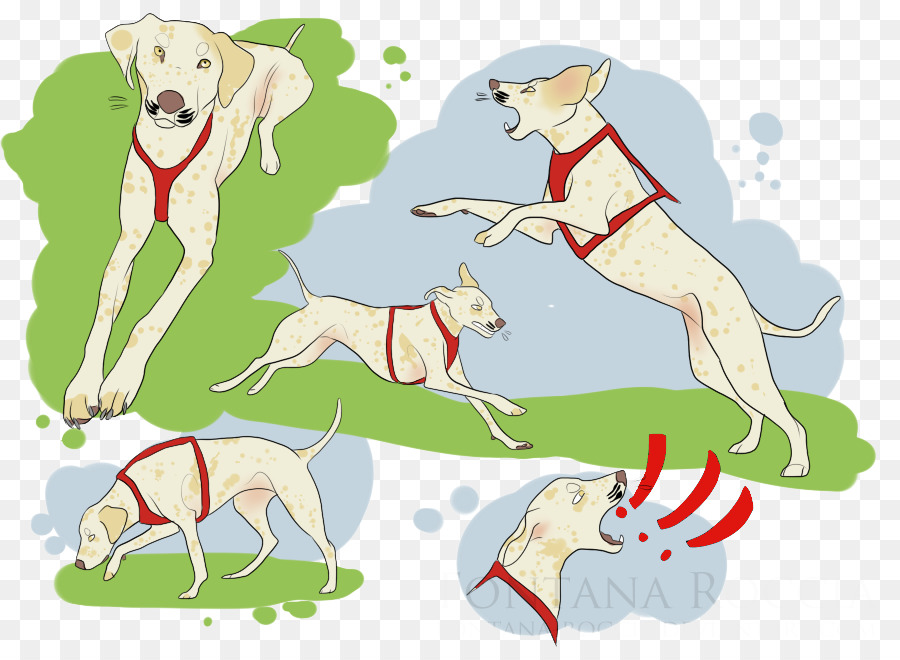 Whippet，Lebrel Italiano PNG