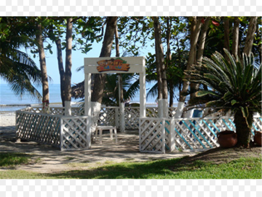 La Ceiba，Coxen Hole PNG