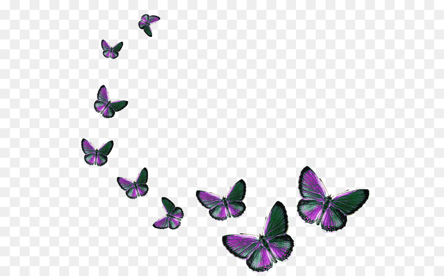 Mariposa，Pintura PNG