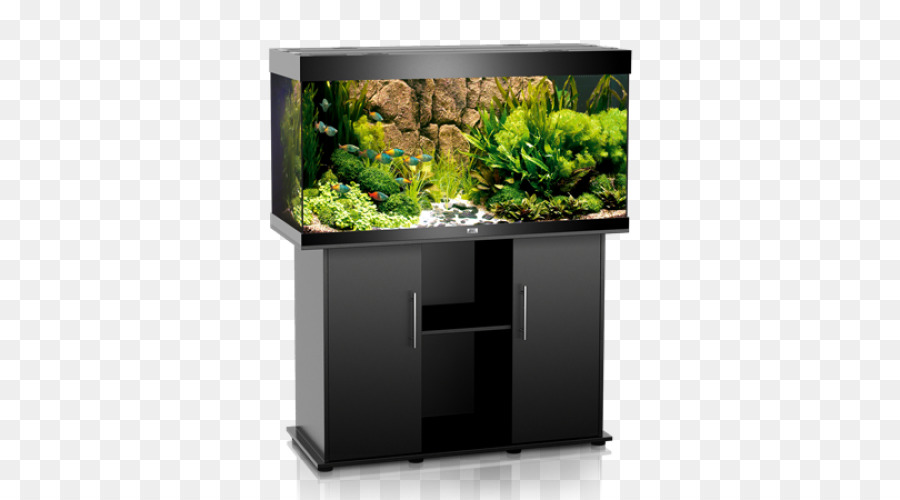 Acuario，Acuario De Arrecife PNG