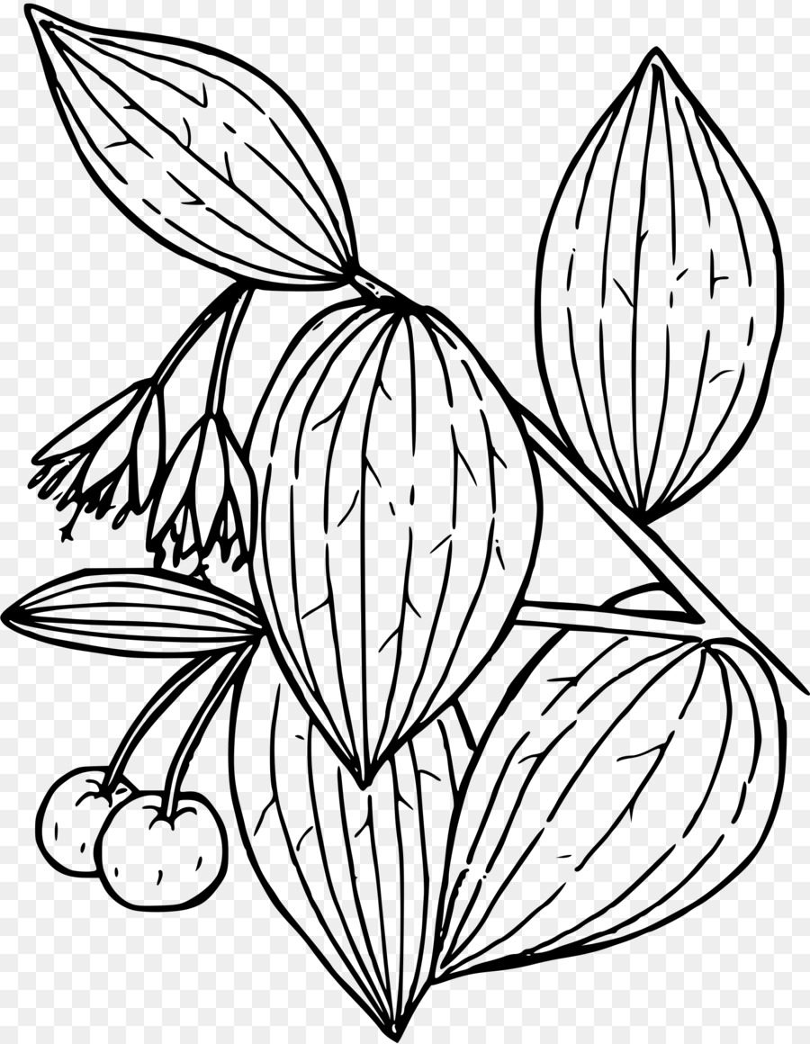 Cereza，Fruta PNG