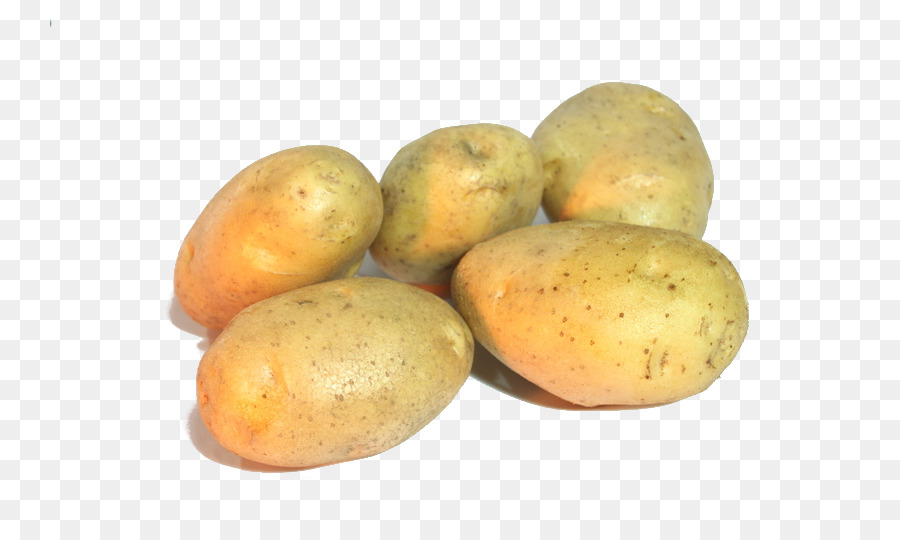 Patata De Burbank，El Oro De Yukón Patata PNG