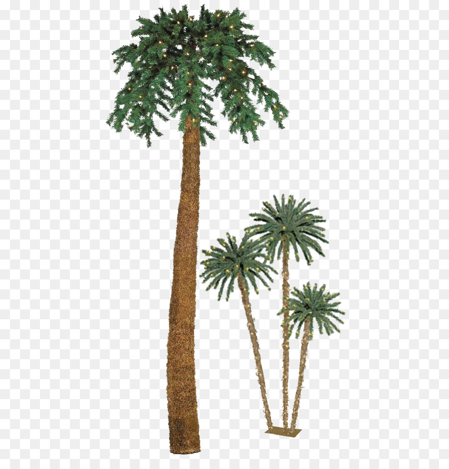 Asiático Palmira Palma，Palma De árbol De Navidad PNG