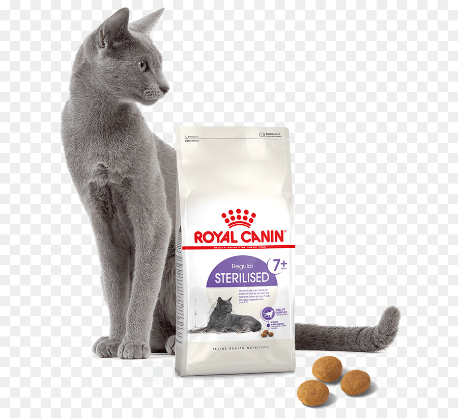 Comida Para Gatos，Gato PNG