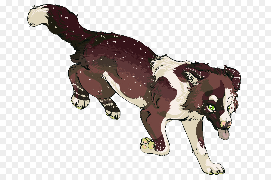 Canidae，Gato PNG