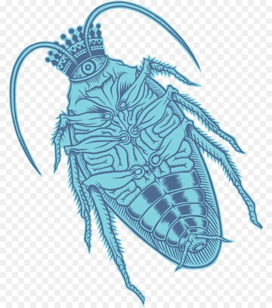 Cucaracha，Moteado De La Cucaracha PNG