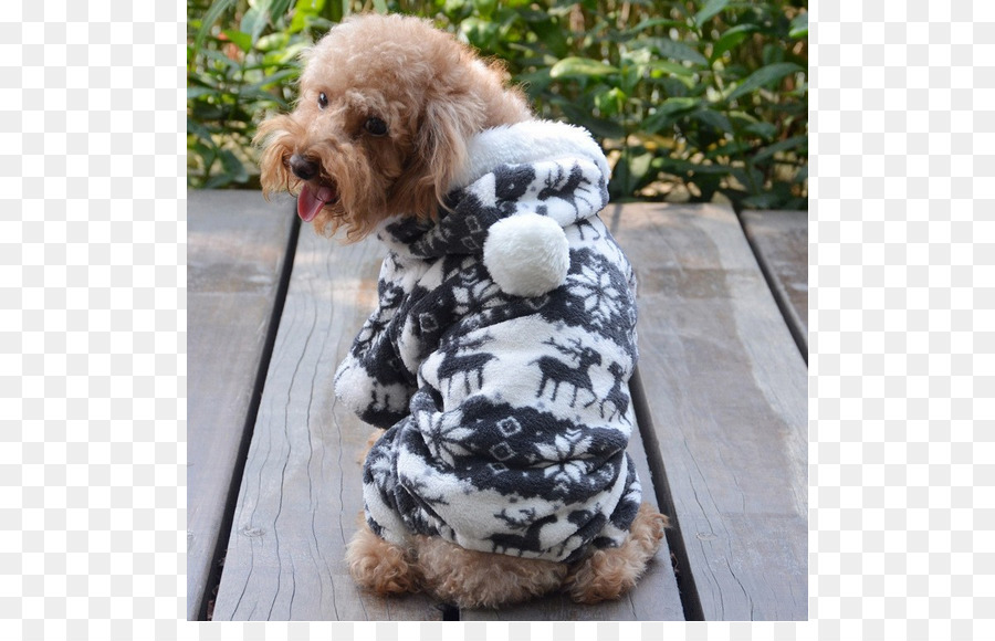 Cockapoo，Sudadera Con Capucha PNG