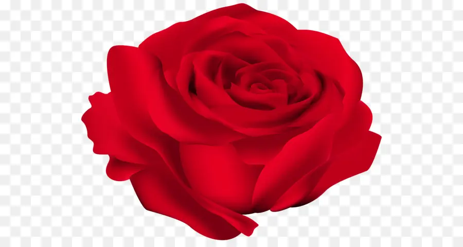 Rosa，Rojo PNG