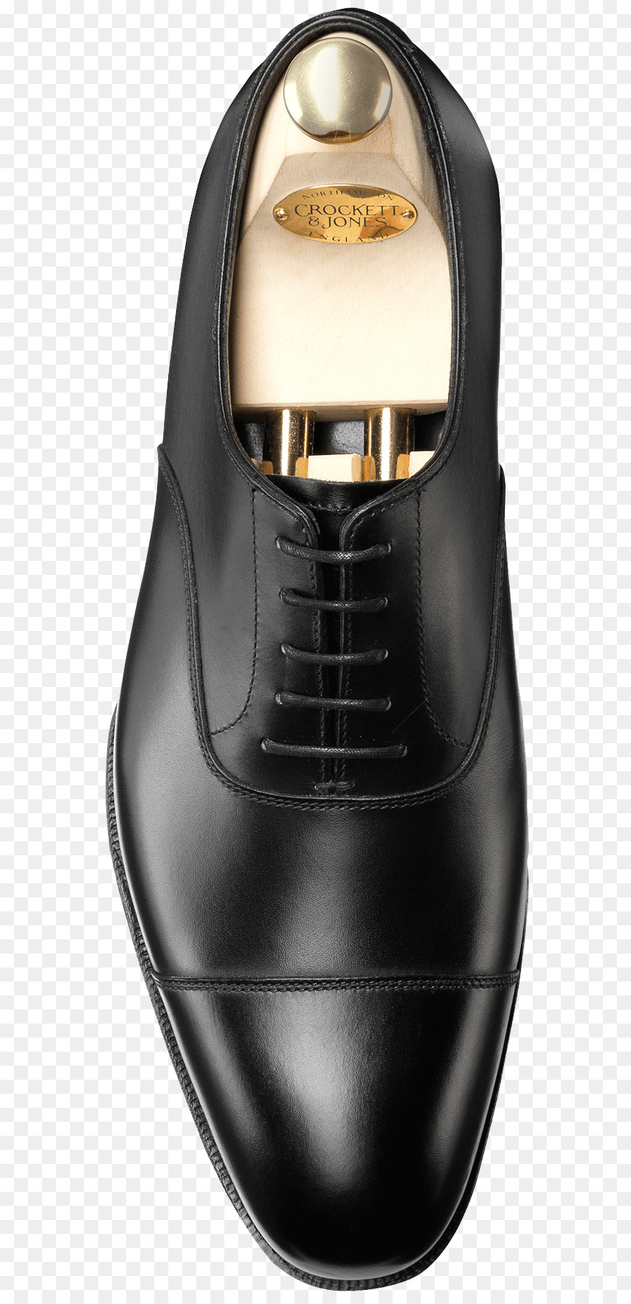 Zapato，Zapato De Oxford PNG