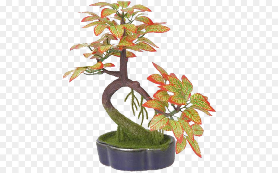 Bonsai，Maceta PNG