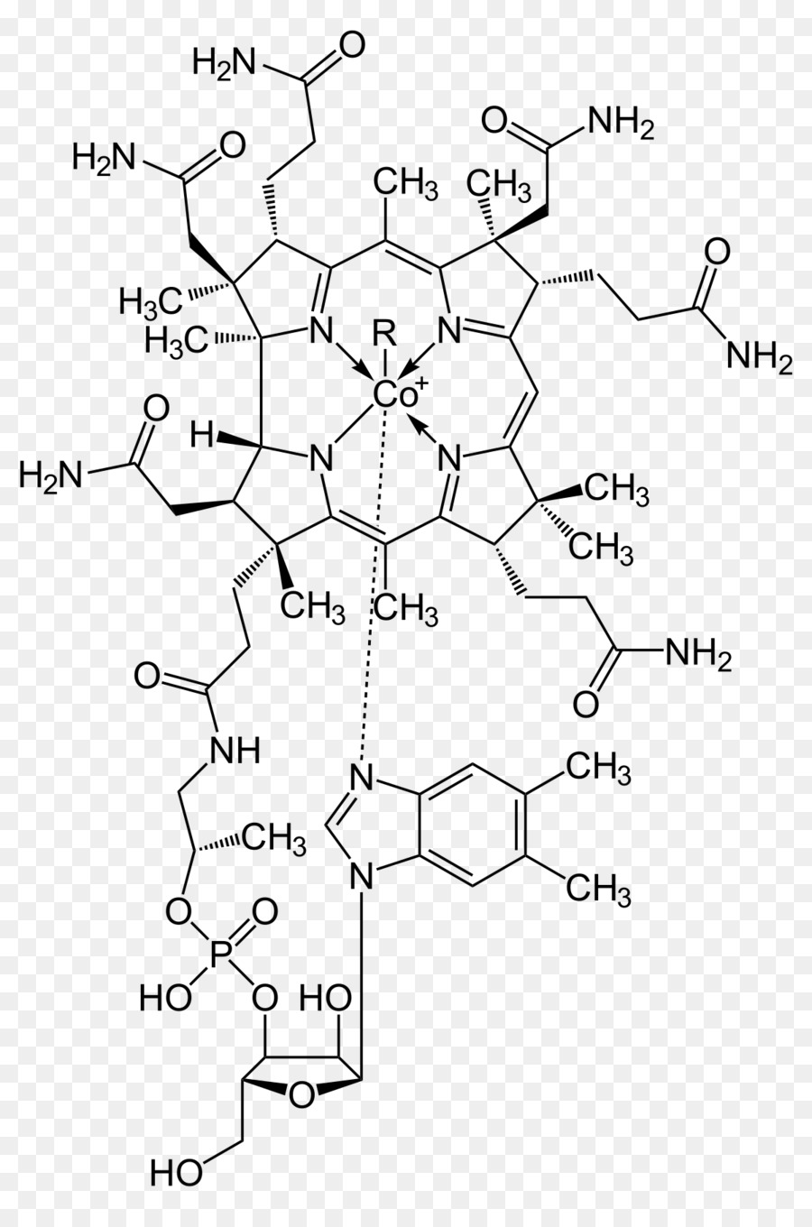 Estructura Química，Molécula PNG