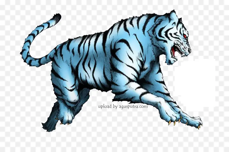 Tigre Blanco，Azure Dragon PNG