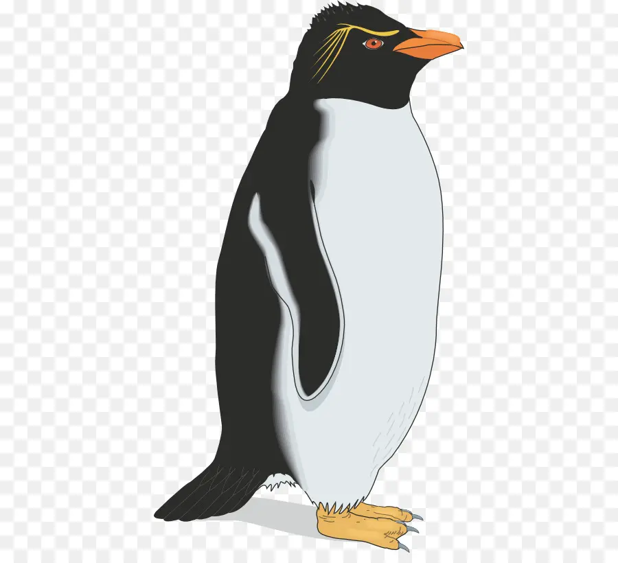 Pingüino，Pingüino Gentoo PNG